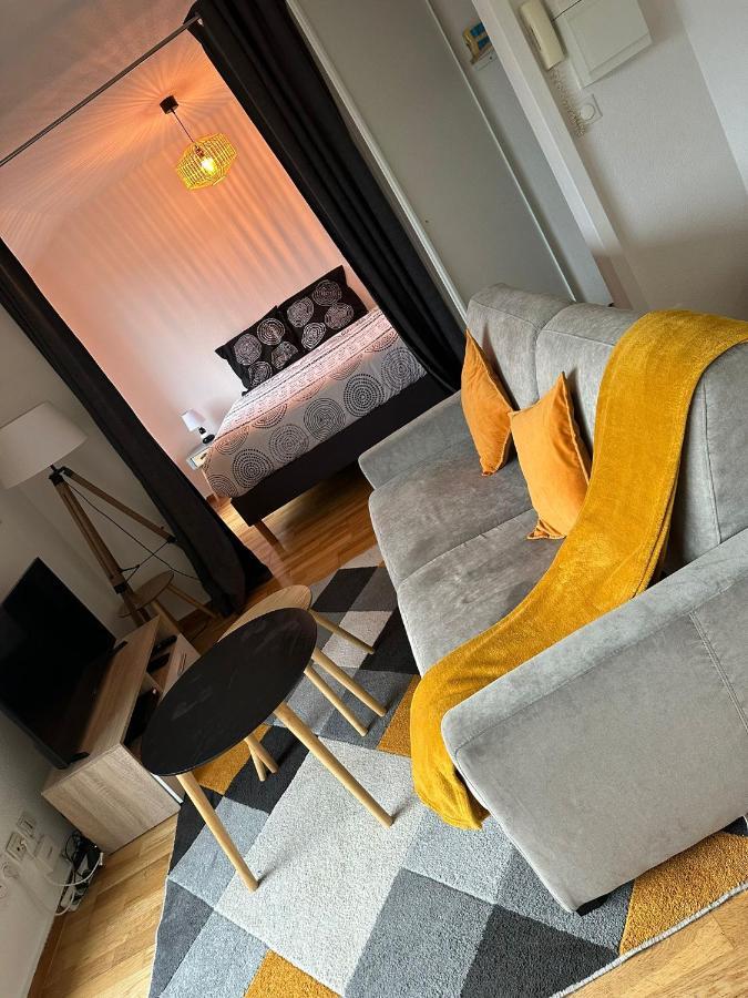Grand Studio, Belle Terrasse Avec Vue 南特 外观 照片